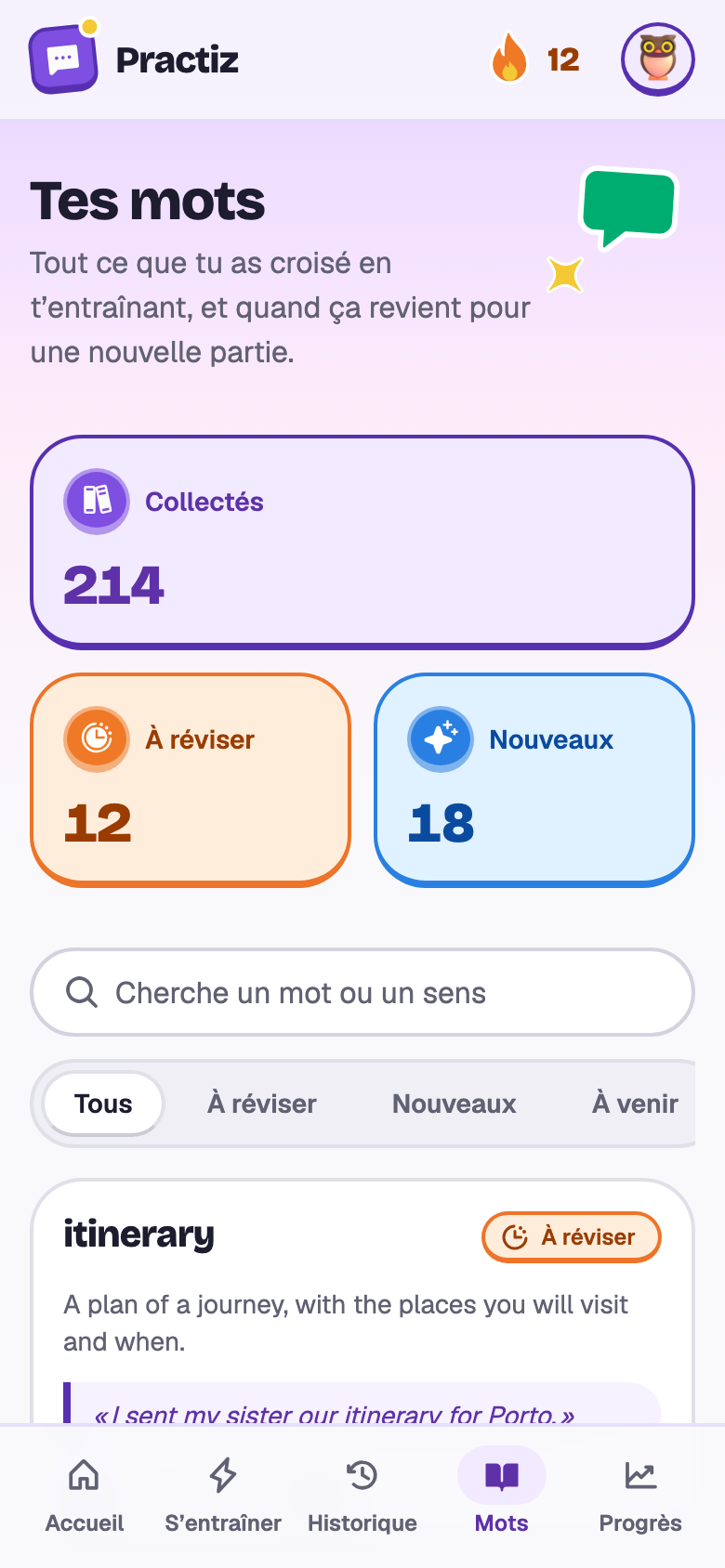 Les mots de Camille : 214 collectés, 12 à réviser, et des cartes pour itinerary, connection, fare, delayed, reservation et luggage.