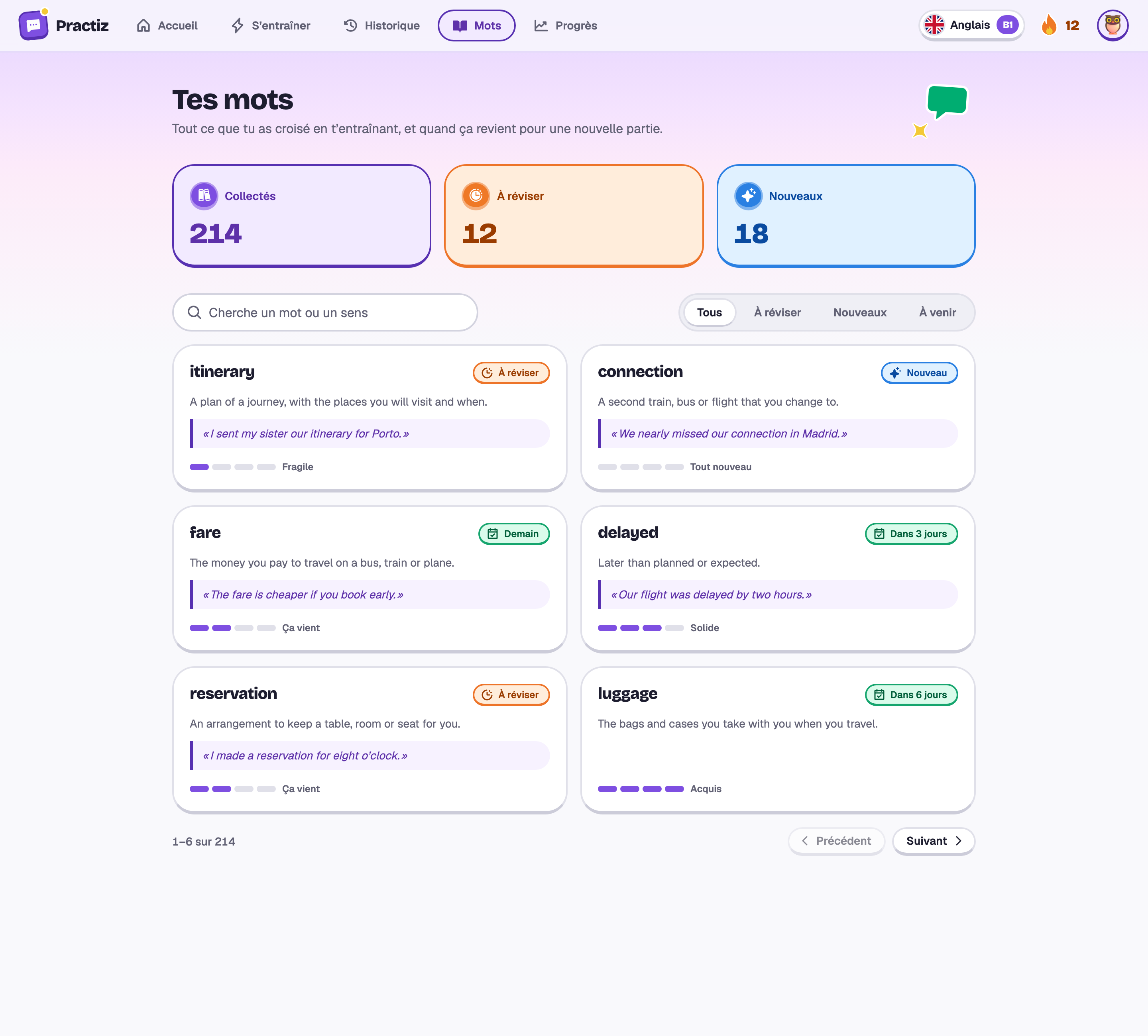 Les mots de Camille : 214 collectés, 12 à réviser, et des cartes pour itinerary, connection, fare, delayed, reservation et luggage.